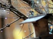 В Киеве установлен новый температурный рекорд