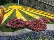 300 тысяч цветов высадили на Спивочому поли ко Дню Независимости