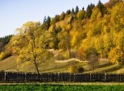 Тепло до +24° ожидает украинцев в середине октября