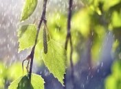 Прогноз погоды в Украине на 17 мая: без осадков только на востоке