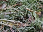 ГСЧС предупреждает украинцев: Сразу после дождей ударят заморозки