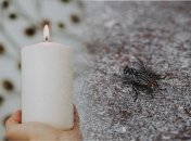 Свеча и вода - средства от мух