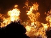 В Испании бушуют самые обширные лесные пожары за последние 10 лет