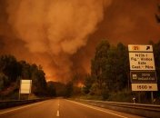 Лесные пожары в Португалии: в стране объявлен режим ЧП