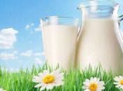 Магазинное молоко вредит здоровью 