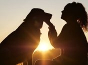 Хорошего мальчика должно быть много: 10 песиков-великанов из собачьего царства