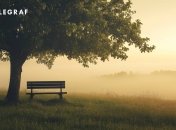 Кожен з нас потребує перезавантаження (зображення створено за допомогою ШІ)