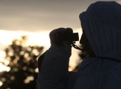 Пограничники Украины и Молдовы перекрыли канал нелегальной миграции