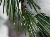 Прогноз погоды на 28 декабря: Украину ожидает весеннее потепление 