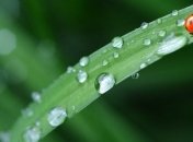 5 червня: народний календар і астровісник