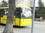 В Звягеле не могут полностью компенсировать стоимость проезда льготникам