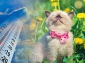 В Украине потеплеет до +20 градусов: синоптик озвучила прогноз погоды на выходных