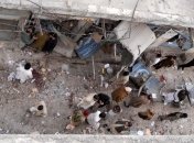 В Пакистане произошел взрыв, есть погибшие и раненые