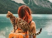 Коты-путешественники, у которых жизнь интереснее многих людей (Фото)