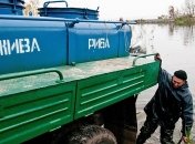 Рыбоохранные органы отчитались о количестве ущерба от незаконного вылова