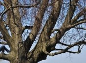 16 березня 2020 – яке сьогодні свято, традиції і прикмети