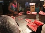 Морская рыба поможет ребенку в учебе