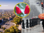 Украинцам стоит достать зимние вещи в ближайшие дни