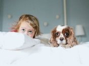 Как выбрать собаку для ребенка: некрупные породы