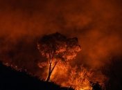 Лесные пожары в Португалии: Огонь распространяется близ популярного курорта