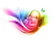 6-я неделя беременности