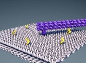 Ученые собрали из ДНК "кран" с электрическим приводом