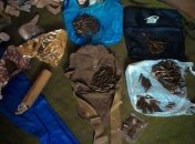 За прошедшие сутки Мариуполе изъято более 400 патронов и гранату Ф-1