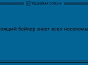 От грусти не останется и следа: новая порция юморных анекдотов