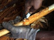 Эффективное средство от слабоумия