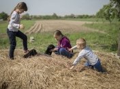 В ООН подсчитали, сколько мирных жителей погибло на Донбассе 