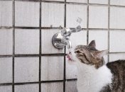 Миру грозит серьезная нехватка воды: проблемы возникнут уже к концу десятилетия