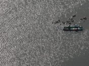 Судно с нелегалами затонуло в Индийском океане