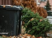 Рано чи пізно приходить час прибирати ялинку (фото створене з допомогою ШІ)