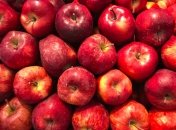 Яблука — один із найпопулярніших і найдоступніших фруктів в Україні
