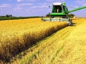 В Украине выросло сельхозпроизводство 