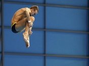 Десятая медаль сборной Украины на ЧЕ по прыжкам в воду