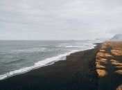 Массовая гибель животных на Камчатке: в России представили официальную причину ЧП в Тихом океане