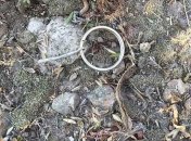 В Днепропетровской области на территории предприятия взорвалась граната