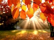 Прогноз погоды в Украине на 12 сентября: преимущественно без осадков