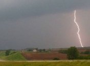 В Черкасской области молния убила семью