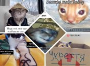 Собрали уморительные мемы и приколы про войну и котов