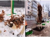 Вандалів розшукують