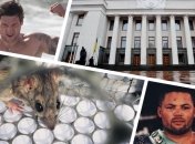 Итоги дня 26 января: принятие закона о референдуме и хантавирус в Украине