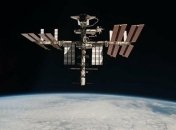 Такие же, как и на Земле: на МКС вырастили кровеносные сосуды (Видео)