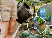 Як зробити крапельний полив власноруч