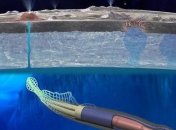 Мягкого робота-кальмара создали для поиска жизни в инопланетных океанах