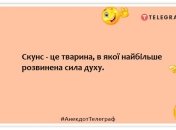 Самка богомола очень удивилась, встретив своего бывшего: смешные шутки о мире животных