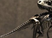 Какими были динозавры?