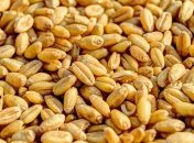 Аграрии собрали зерно с 9% полей Украины