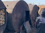 На Житомирщине незаконно вырубили 7 га леса